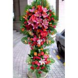 Ǳҵ