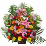 Ǳҵ
