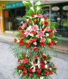 Ǳҵ