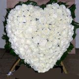 Ǳҵ