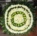 Ǳҵ